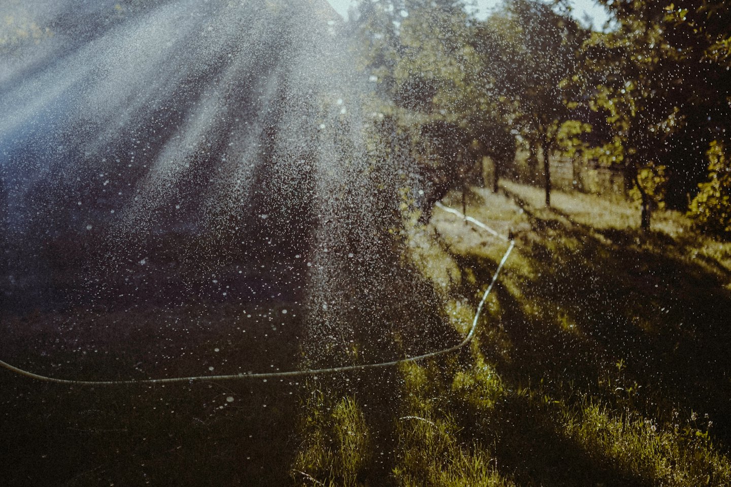 Water droplets spray from a green garden hose onto grass.